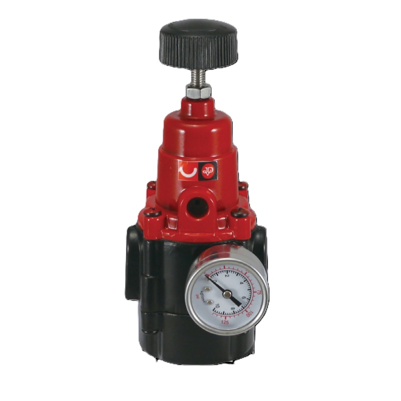 Lọc khí và điều áp JDV model SW