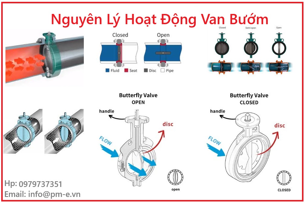 Butterfly Valve