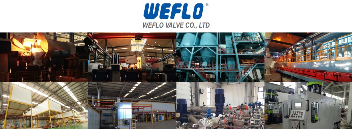 Van WEFLO