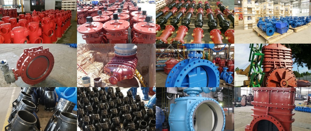 Sản Phẩm Chính Của WEFLO
