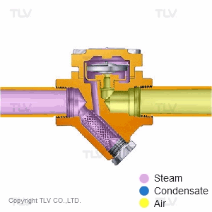 How Does a Thermostatic Steam Trap Work