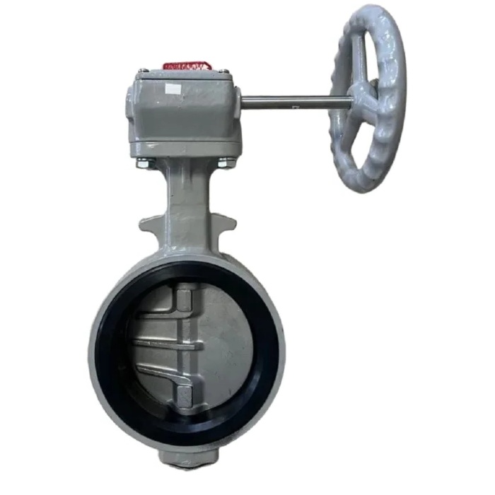 Tomoe 700G Butterfly Valve