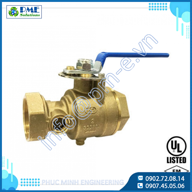 Test and Drain Valves