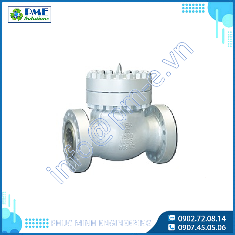 TEK VALVE Cast Steel Swing Check Valve BS1868 | Backflow Prevention Valve